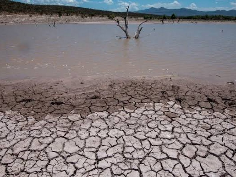 Déficit de lluvias genera municipios secos en Veracruz