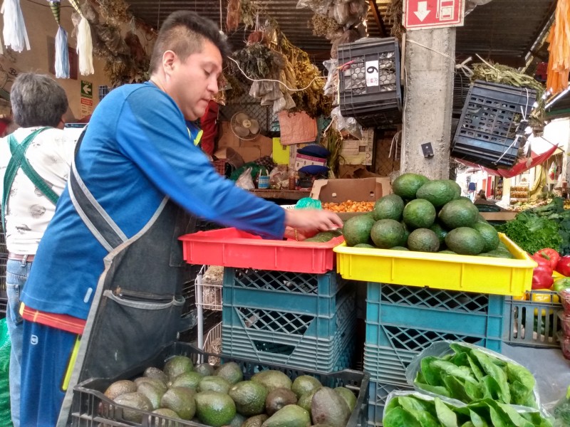 Déficit en apoyos a productores de aguacate mexiquense