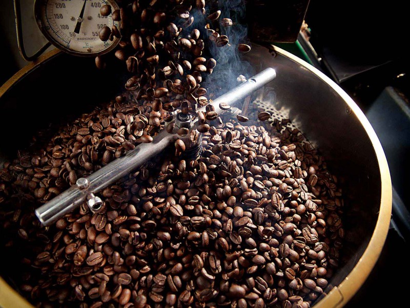 Déficit en producción de café en Chiapas