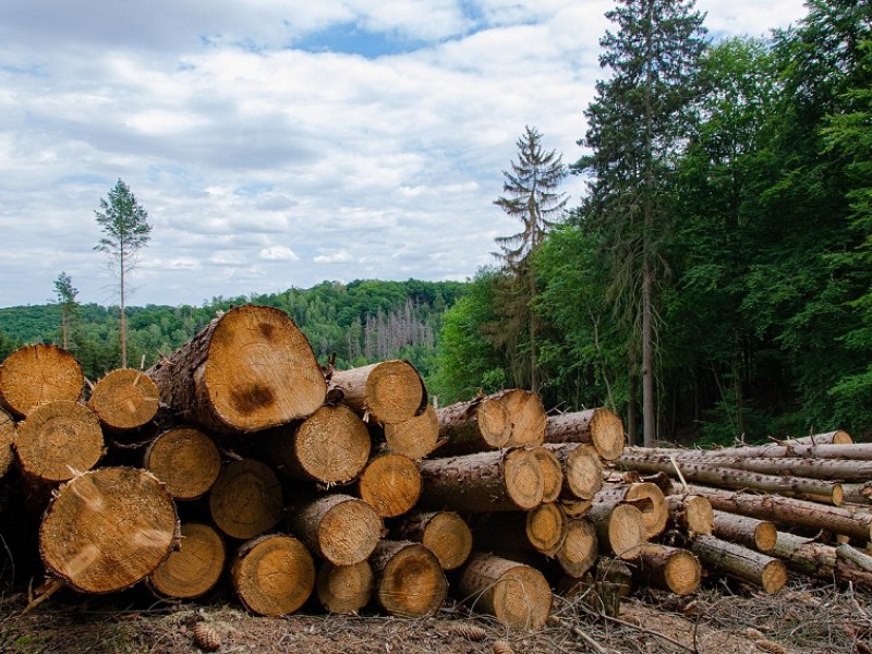 Deforestación apoyando al calentamiento global