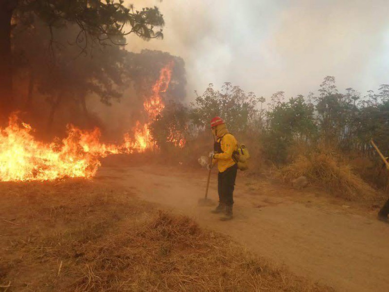 Deja familias afectadas ultimo incendio en La Primavera