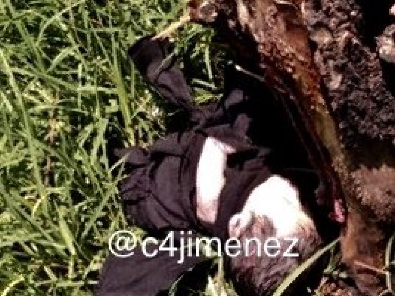 Dejan a un niño muerto en Xochimilco