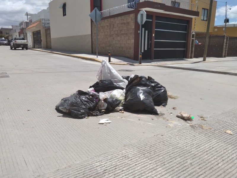 Dejan basura a media calle en colonia El Edén