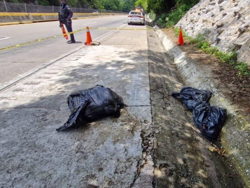 Dejan cuerpo descuartizado en bolsas en la Autopista del Sol