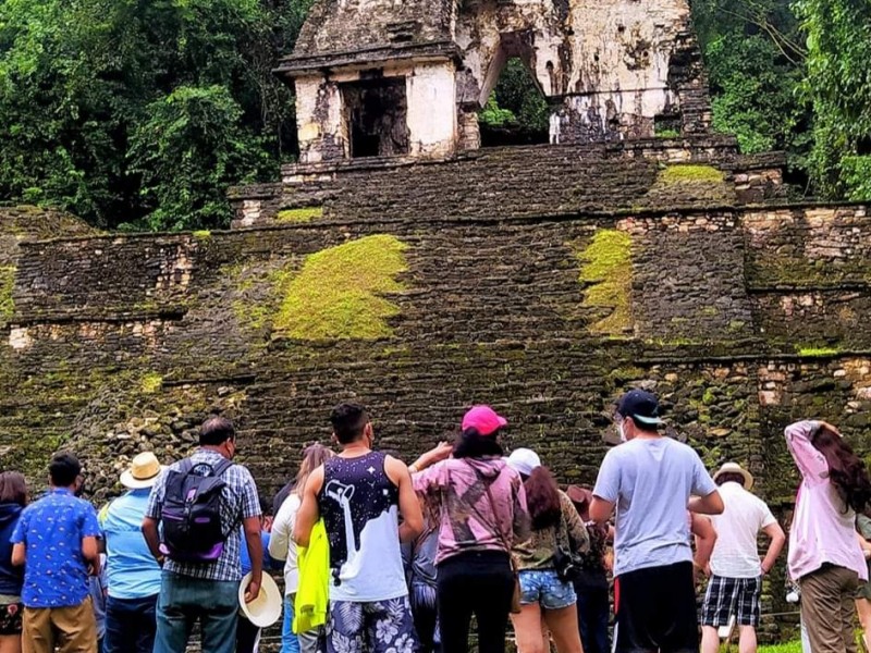 Dejan de ofrecer tours a Palenque ante constante riesgo