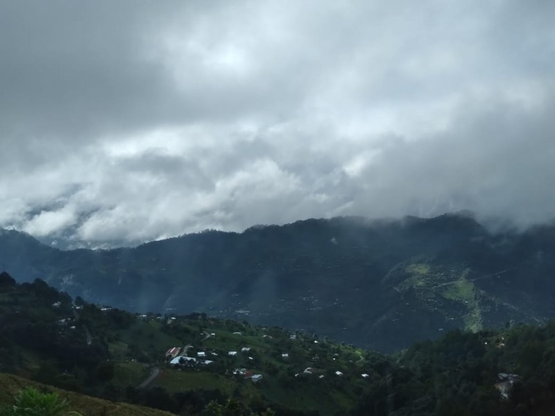 Dejan fríos afectación a 50% de parcelas en Sierra Negra