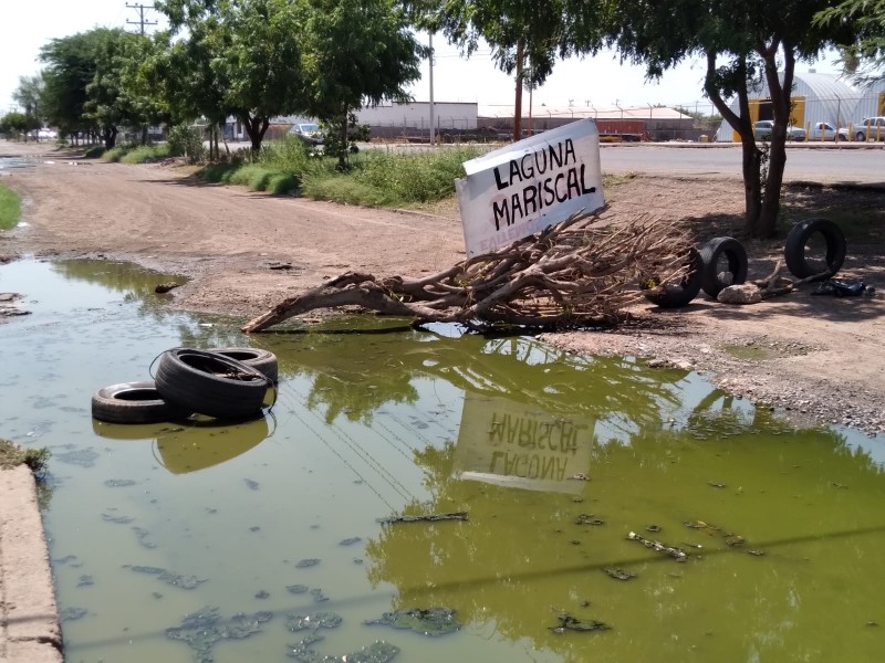 Bautizan laguna llena de lama con el nombre del alcalde