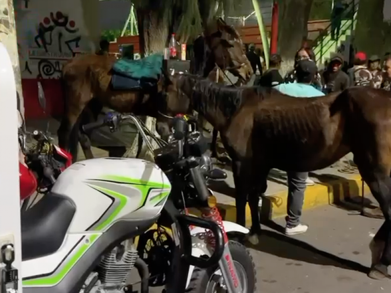 Dejarán de usar caballos para recolectar basura en Edomex