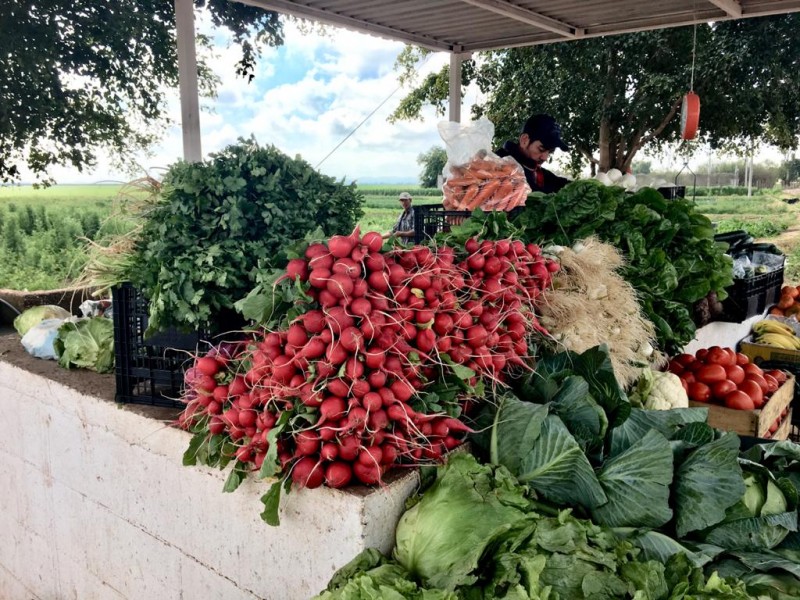 Del campo a la mesa, horticultores emplean estrategia de venta