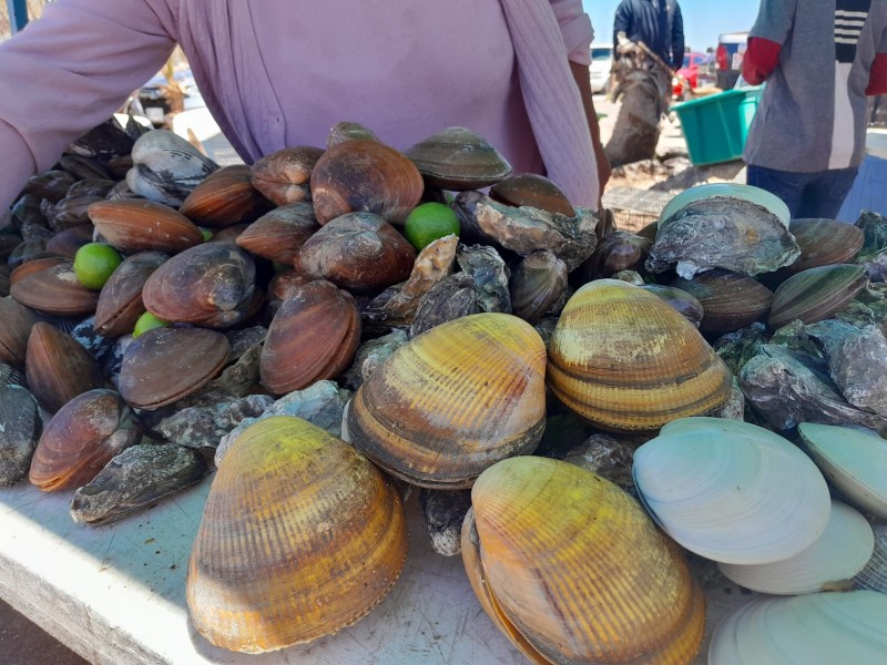 Del mar a la mesa: almejas en Miramar