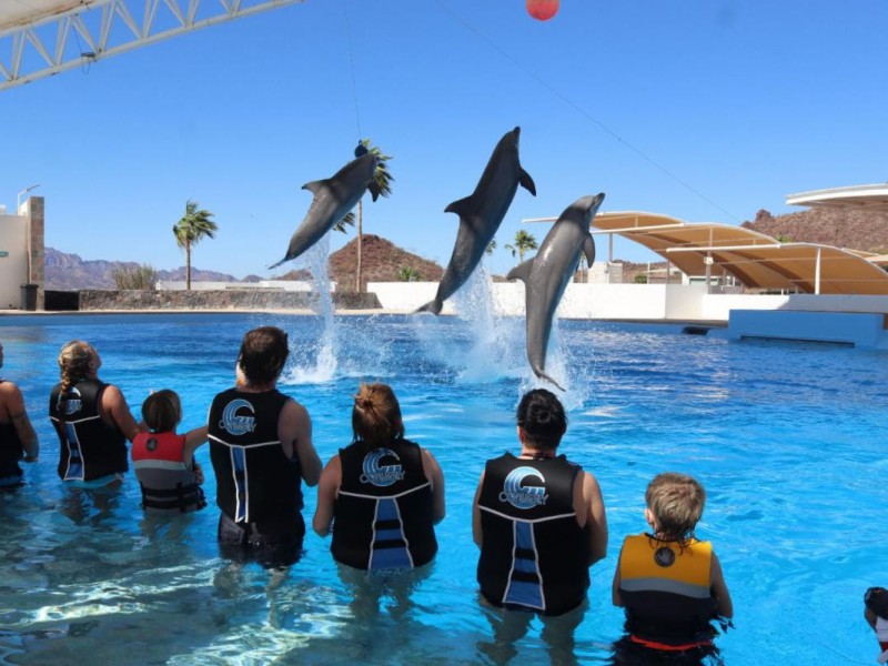 Delfinario Sonora extiende su horario por semana santa