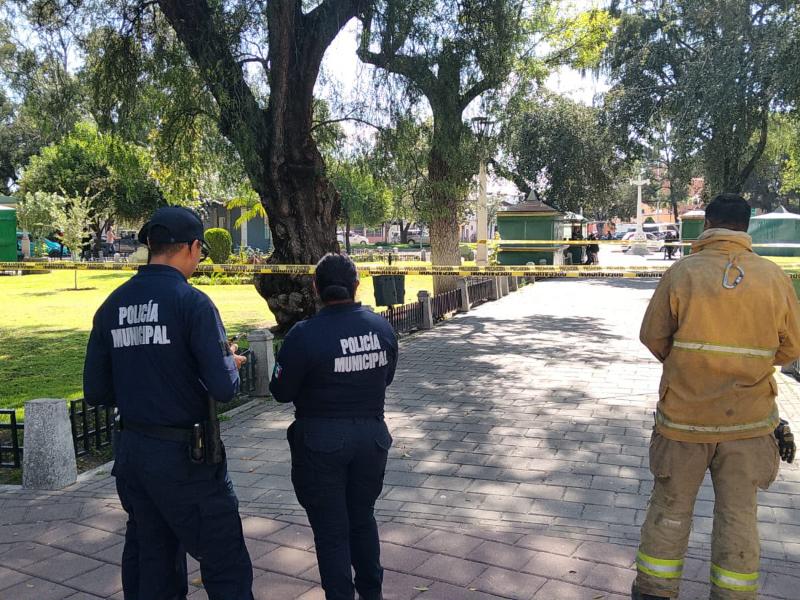 Delimitan área en Baca Ortiz por enjambre de abejas.