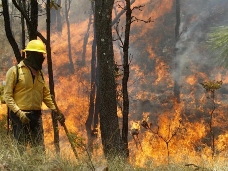 Delincuencia amedrenta personal de Conafor en incendio