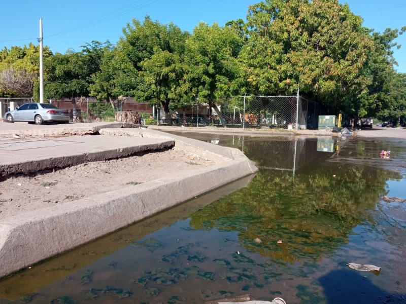 Demandan atención a brotes de aguas negras en Canteras