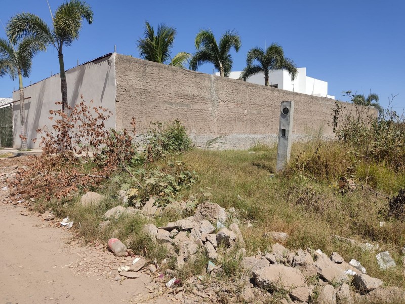 Demandan limpieza de predios abandonados en Col. Nuevo Guasave