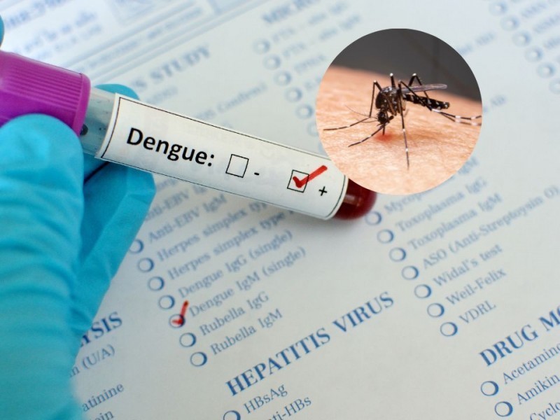 Dengue en Nayarit suman 150 casos confirmados y una defunción