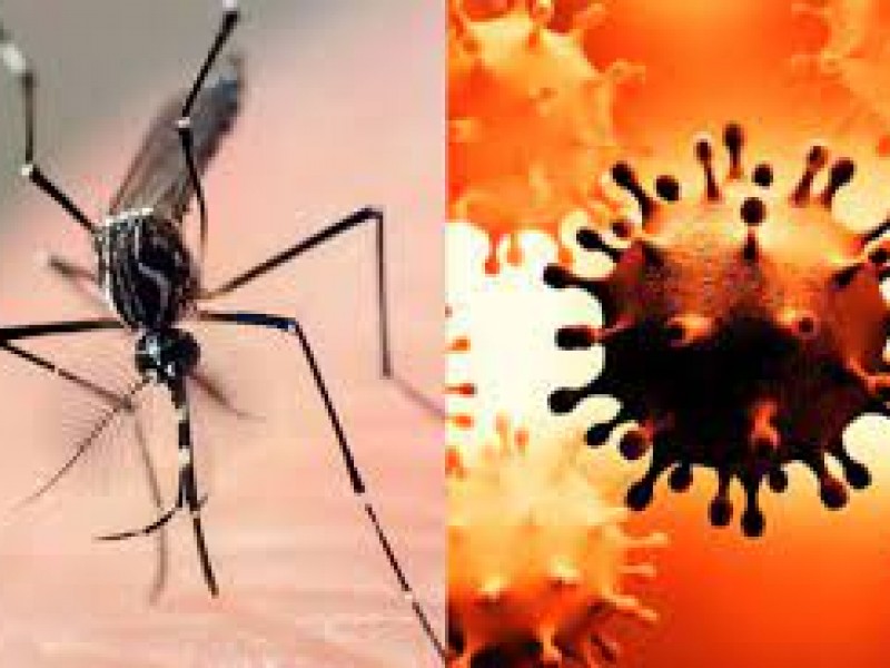 Dengue enfermedad que se confunde con el Covid-19