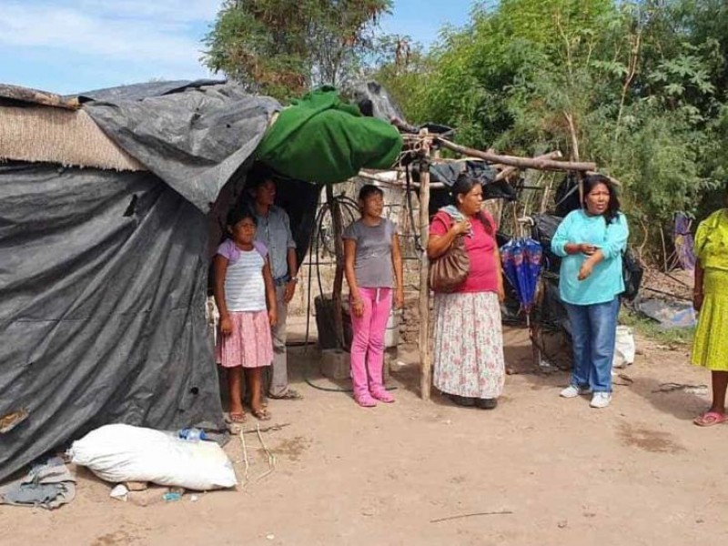 Dengue pega a la comunidad guarijío, van 37 casos confirmados