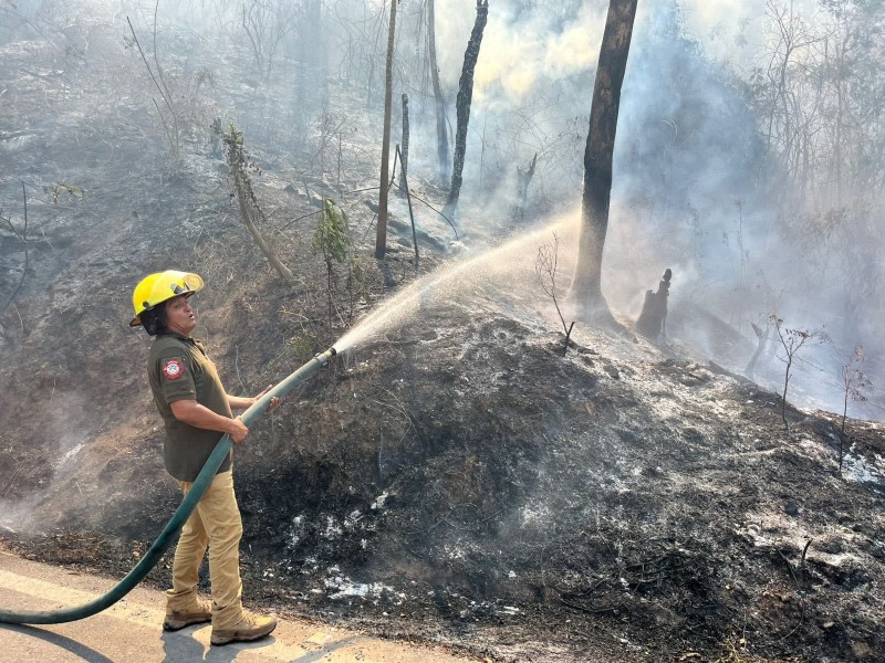 Denuncia alcalde de BadeBa incendios provocados por basureros clandestinos