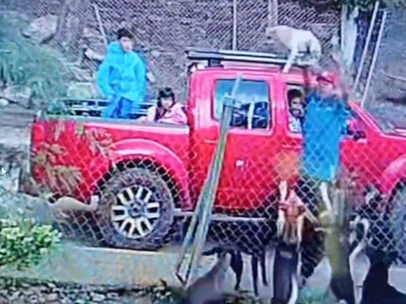 Denuncian a hombre que arrojó a perro en Tenancingo