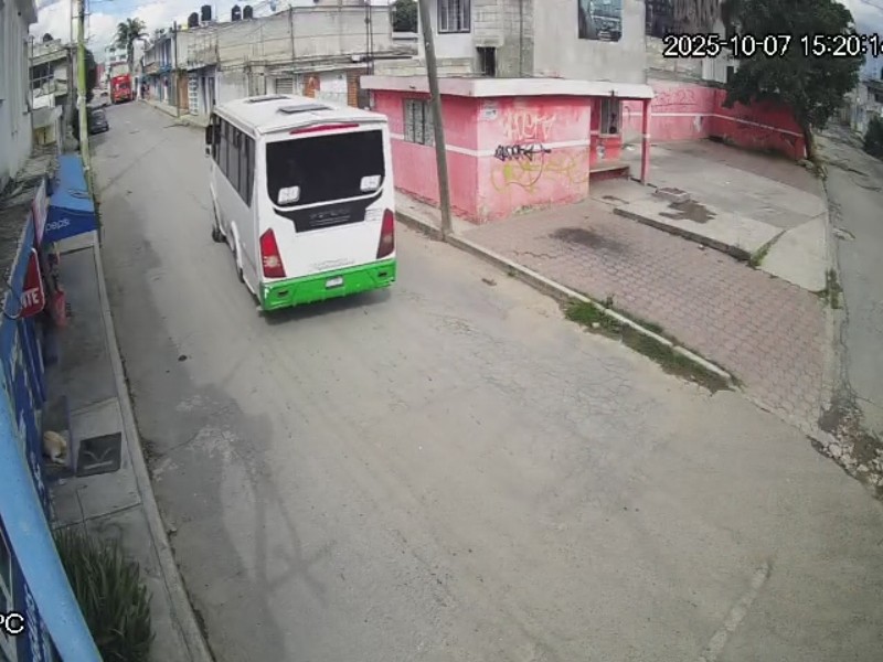 Denuncian a unidad de transporte público, por atropellar a perrito