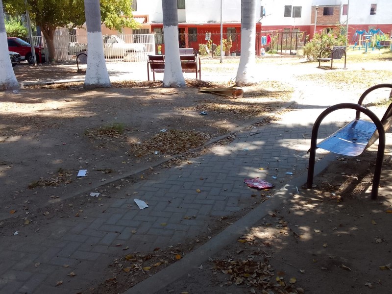 Denuncian abandono de parque en el Infonavit Macapule