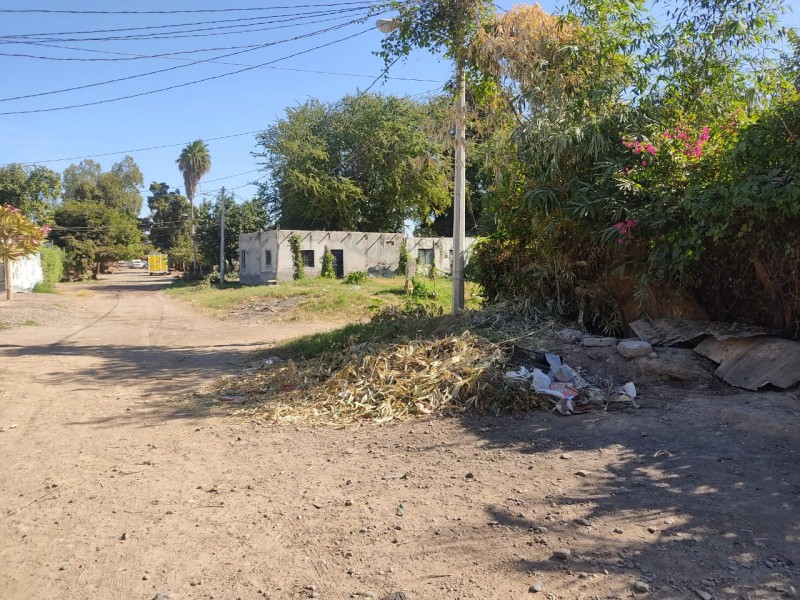 Denuncian abandono en colonia ampliación 24 de Febrero en Guasave