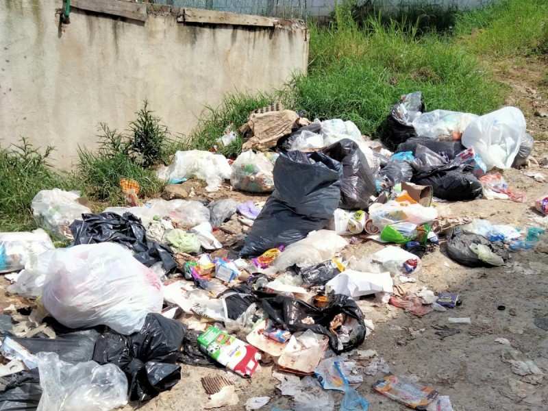 Denuncian acumulación de basura en inmediaciones del Tec de Xalapa