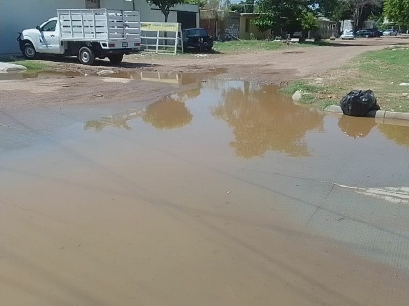 Denuncian acumulamientos de agua en colonia Álamos 2