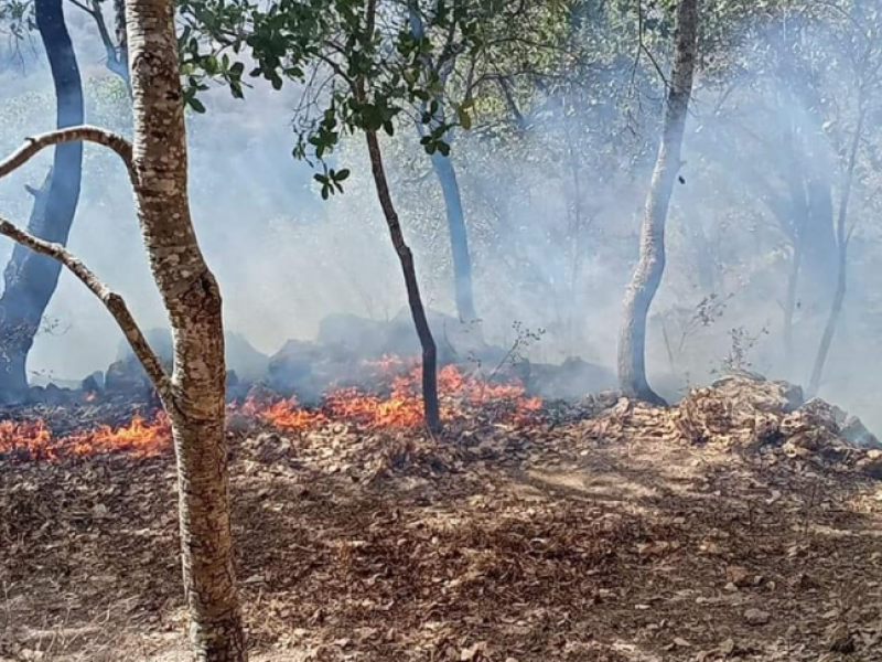 Denuncian afectaciones de incendio entre SAMAO y San Pedro Lagunillas