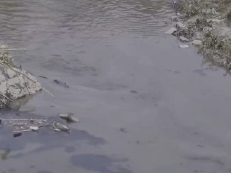 Denuncian agua contaminada en río Alseseca