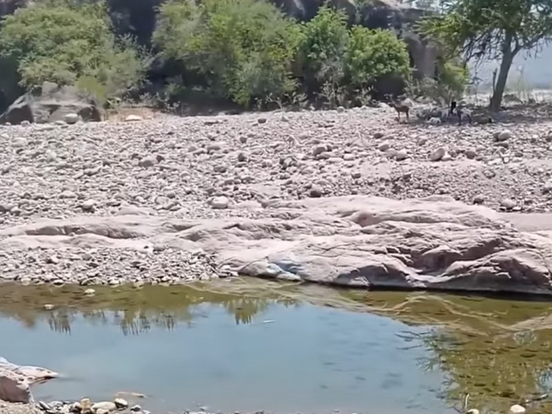 Denuncian aguas negras contaminando río en Del Nayar