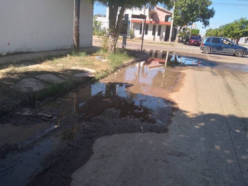 Denuncian aguas negras en la colonia Magisterial