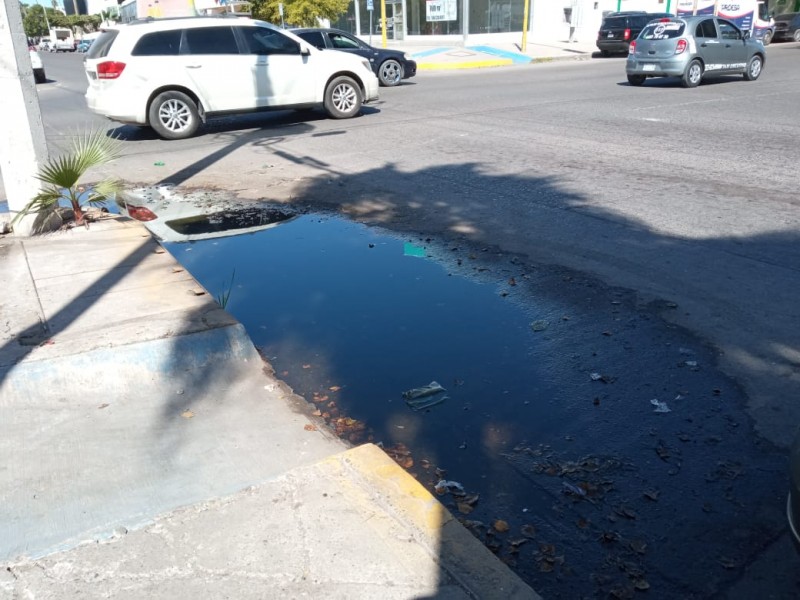 Denuncian aguas negras en zona centro de Los Mochis