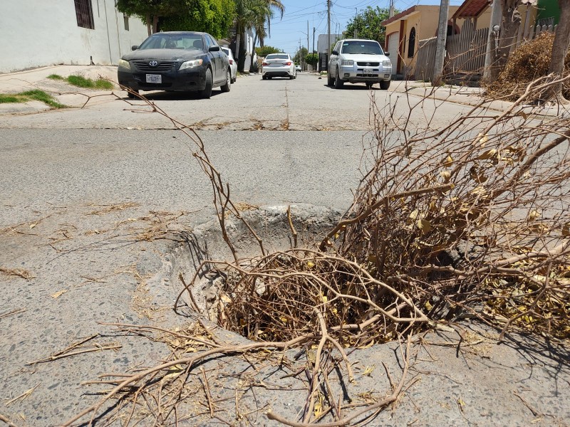 Denuncian alcantarilla expuesta desde hace dos meses en Guasave