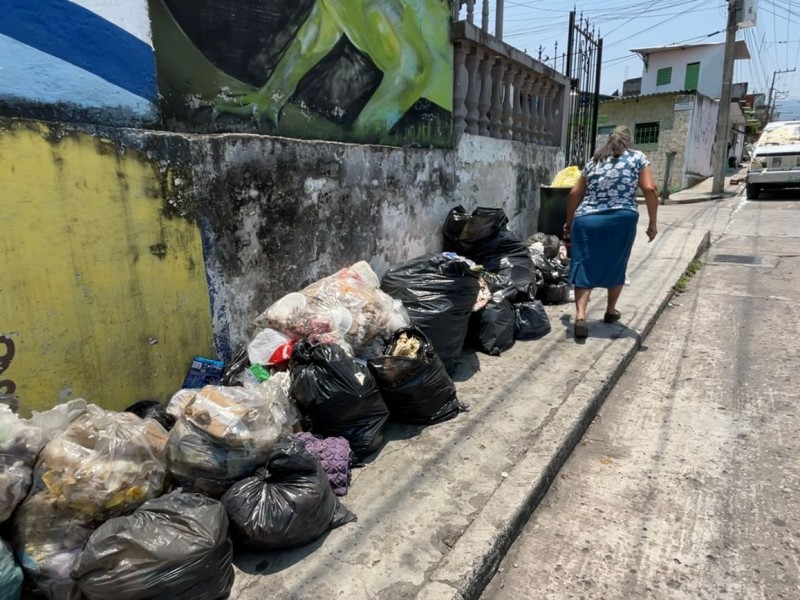 Denuncian atrasos en recolección de basura en Coatepec