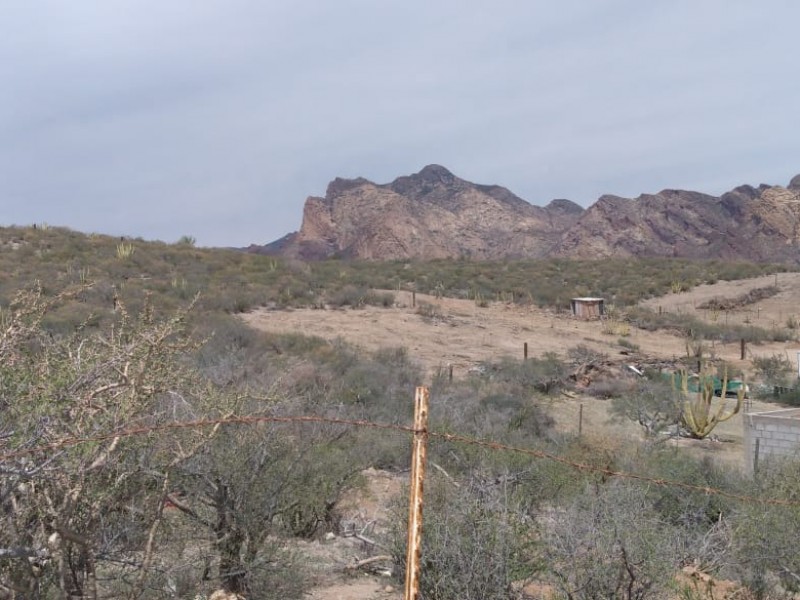 Denuncian aumento en la invasión de terrenos en La Manga