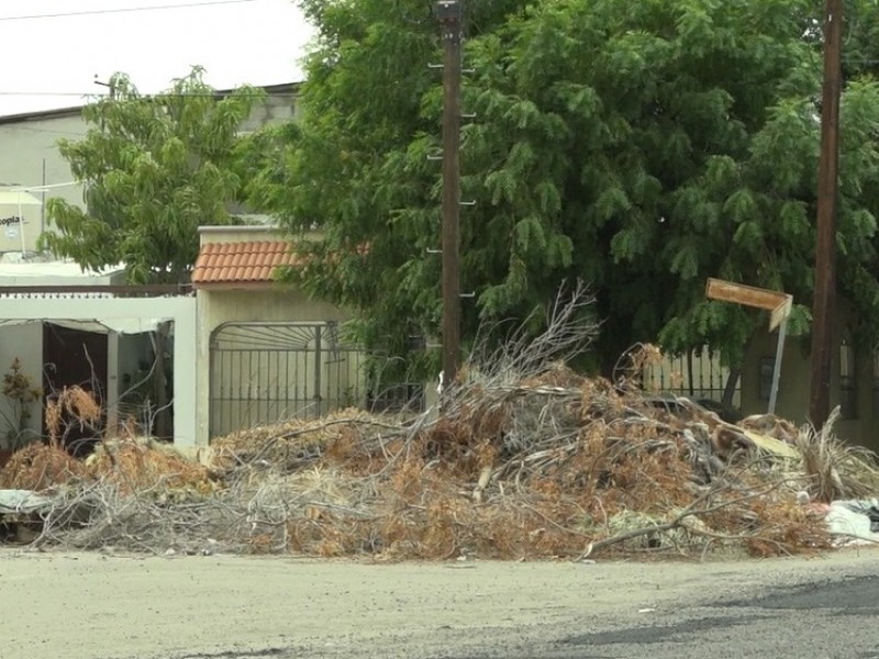 Denuncian basura y abandono del parque en Las Arboledas