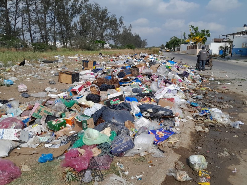 Denuncian basureros a cielo abierto en Residencial del Bosque