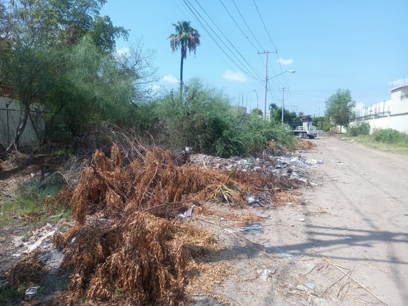 Denuncian basureros en la colonia Las Fuentes