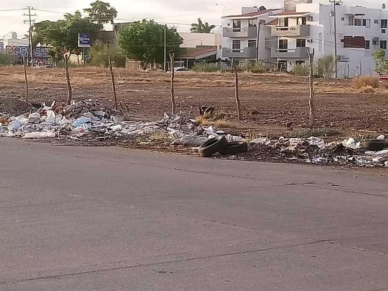 Denuncian basurón clandestino en Jardines del Fátima