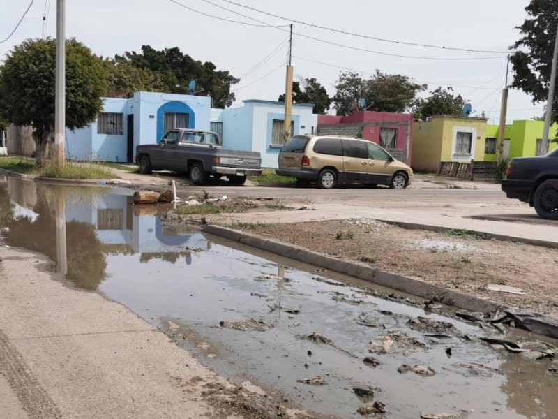 Denuncian bordos de asfalto y aguas negras en Fraccionamiento Praderas