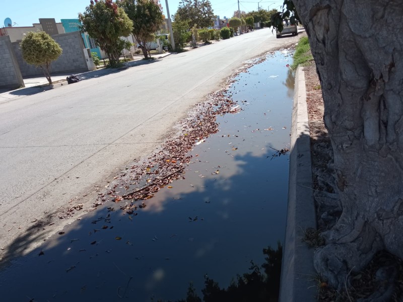 Denuncian brote de aguas negras en Fraccionamiento Los Ángeles