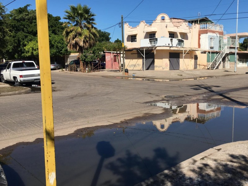 Denuncian brote de aguas negras en sector Centro