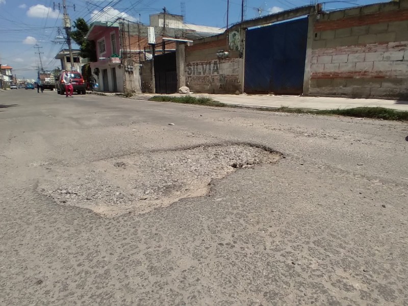 Denuncian calle repleta de baches en colonia El Salvador