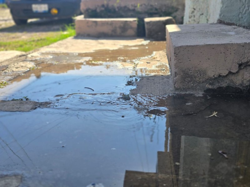 Denuncian colapso de drenaje en Tepic; temen inundaciones y riesgos sanitarios