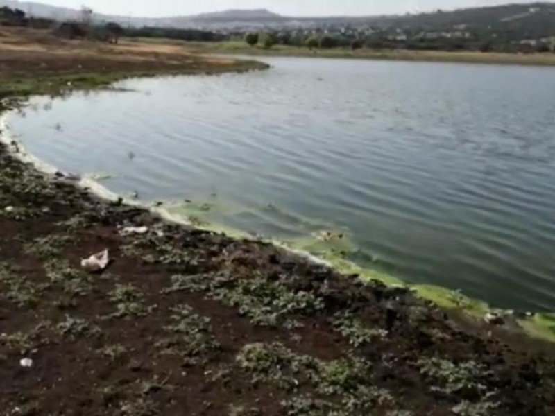 Denuncian contaminación en bordo San Pablo