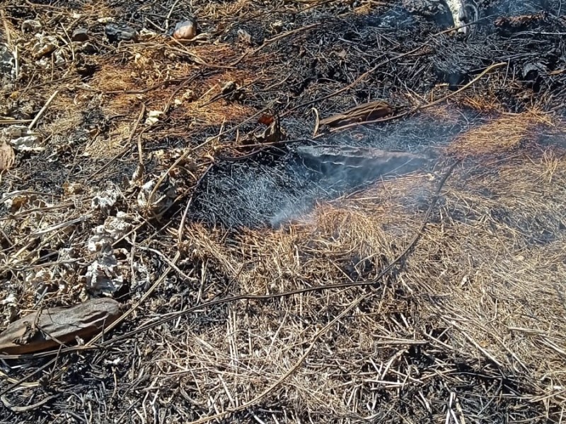 Denuncian contaminantes para limpiar Brazo Norte de Smapa