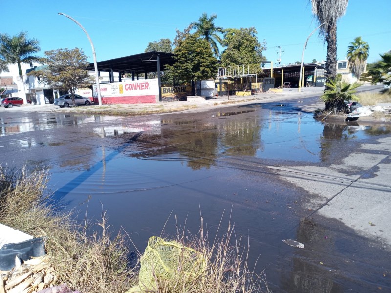 Denuncian gran fuga de agua potable en colonia Centro