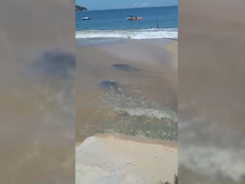 Denuncian descarga de aguas negras en playa Icacos